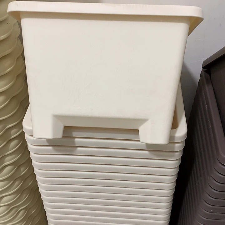 方球根口27高19米白5个