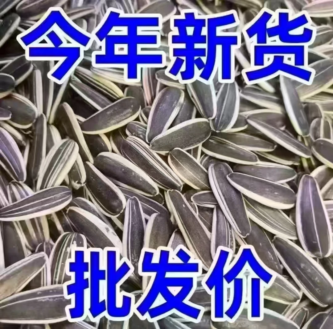 买一斤送一斤【到手2斤】原味熟葵花籽新货颗饱满细长瓜子零食必备