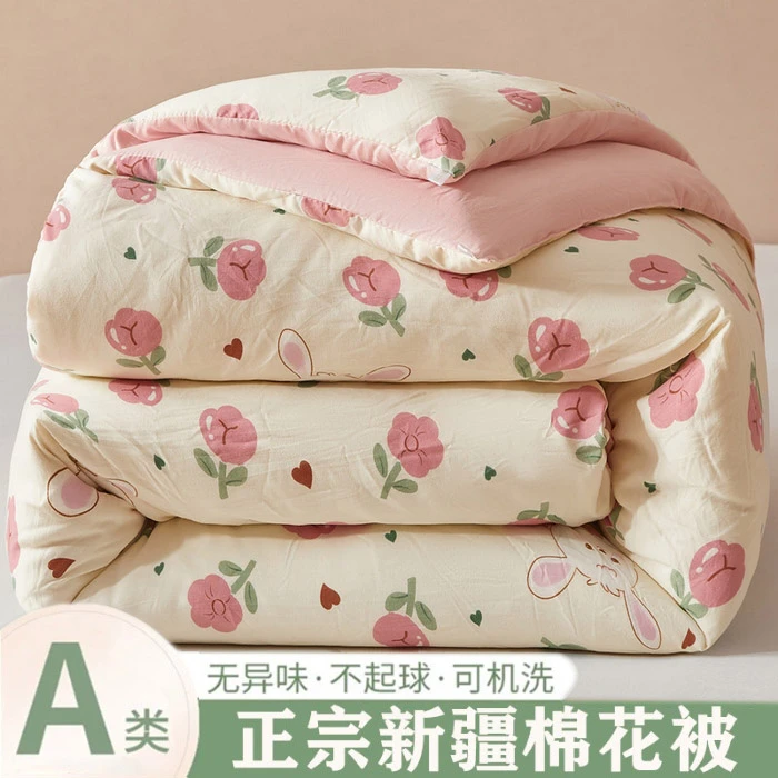 2025年新款A类新疆棉花被春秋被冬被 可机洗水洗棉夏凉被空调被子