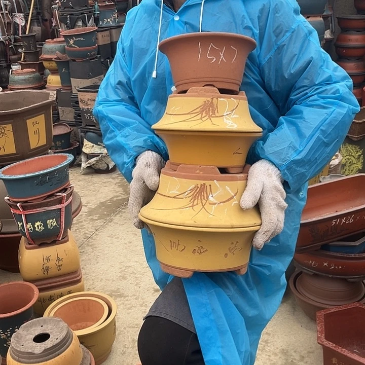 紫砂紫砂花盆和一