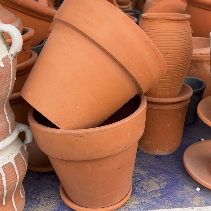 红陶20×17 拍一发二