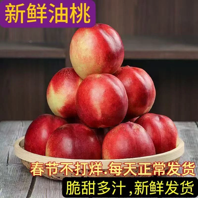 头茬山东油桃脆甜红油桃 尝鲜一桃两吃硬吃脆甜 软吃爆汁