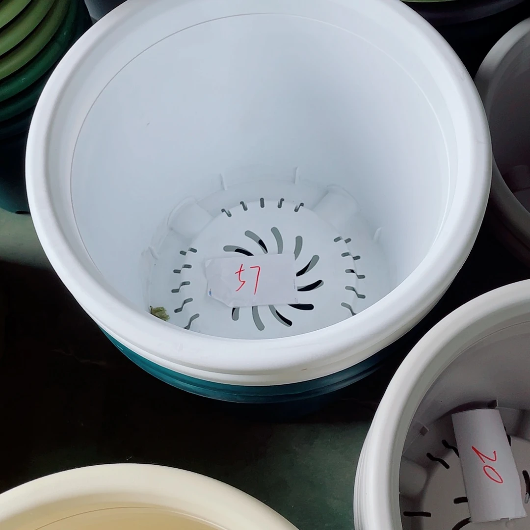 编号是57号的57号的