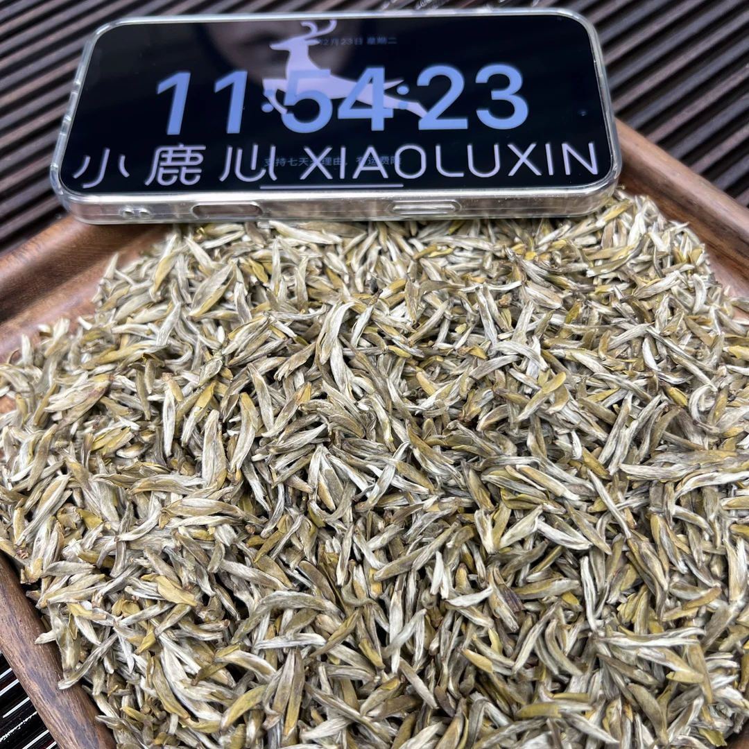 茉莉金龍毫 小鹿收茶 茉莉花茶 12月23