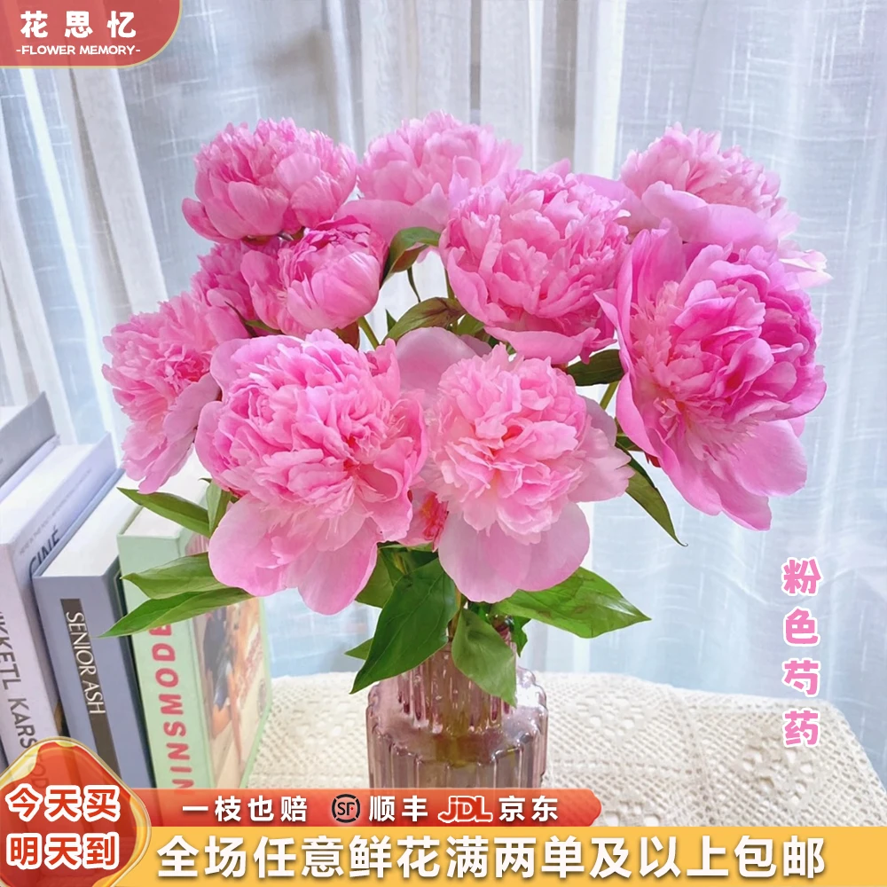 特价『粉嘟嘟的粉芍药5枝』全场两单鲜花顺丰京东包邮芍药次日达