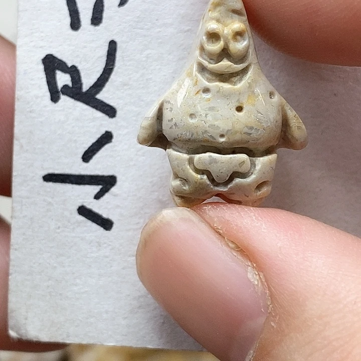 颈饰未镶嵌硅化珊瑚（珊瑚玉）