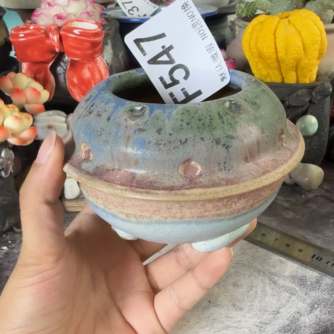 重庆小燕子欢迎大家。547