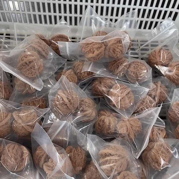 吊坠文玩核桃大楼瑕疵