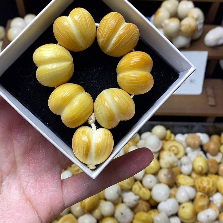 吊坠菩提根/象牙果