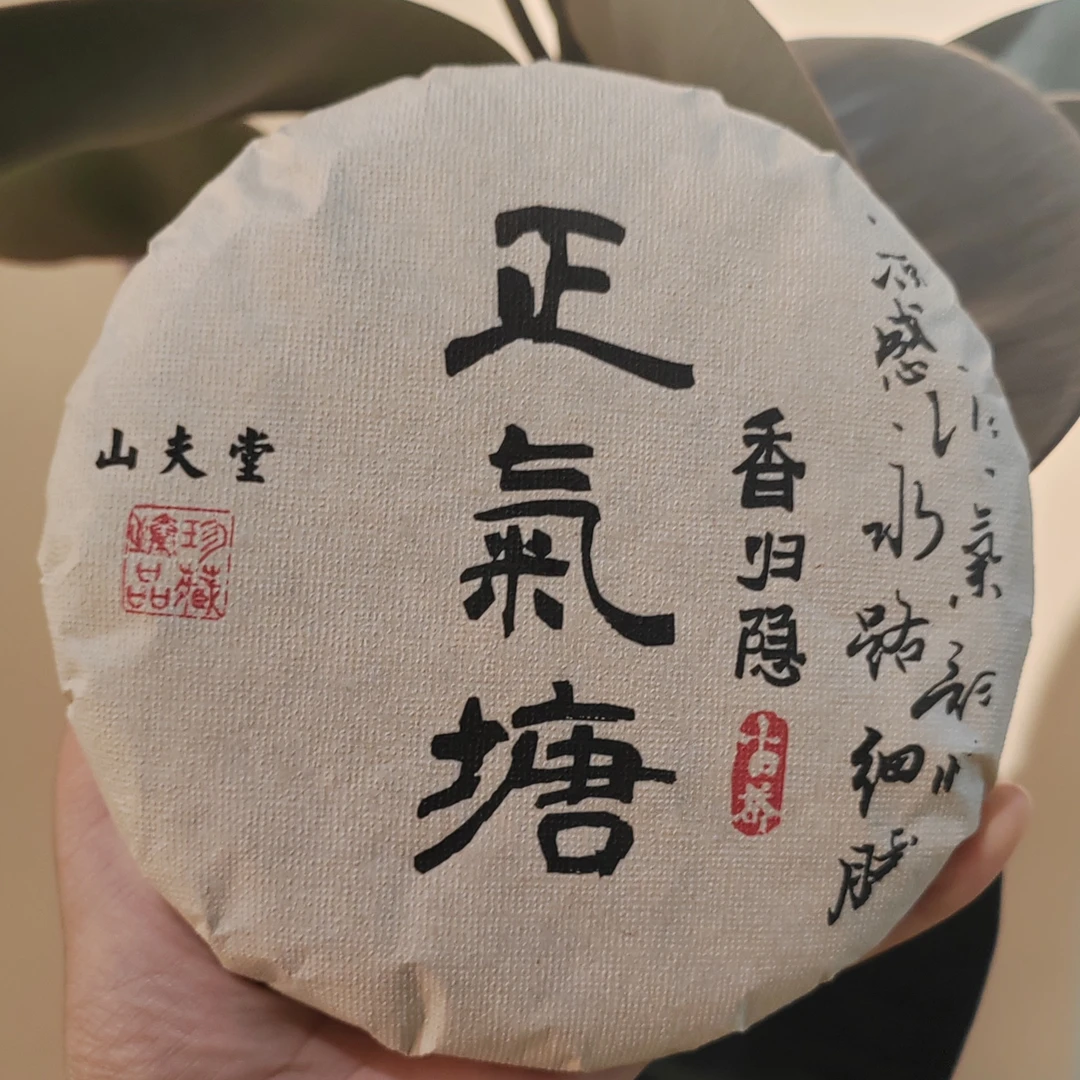 山夫堂正气塘古树普洱生茶200克