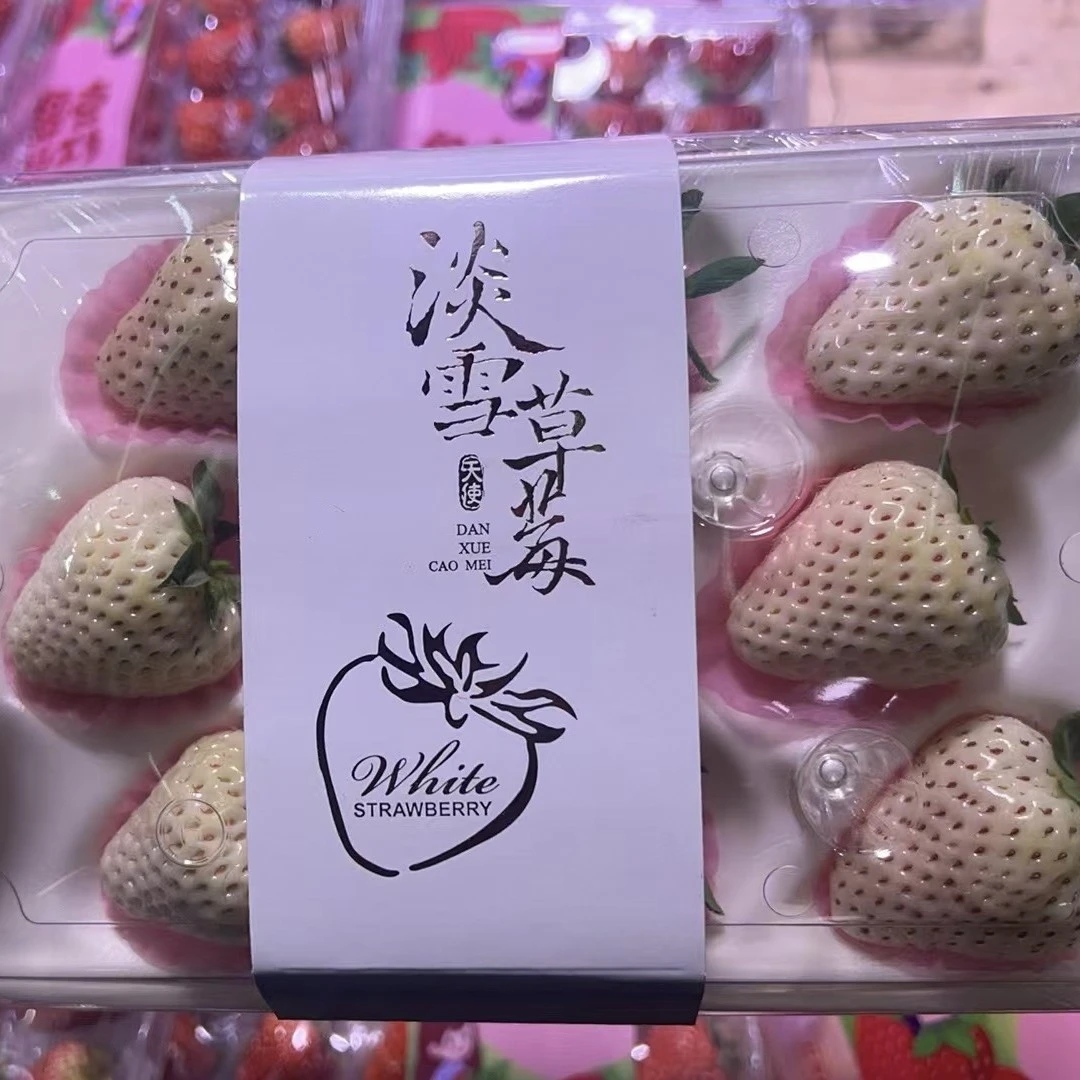 【坏果包赔】丹东淡雪草莓 250g/盒