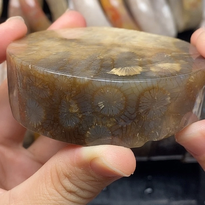 硅化玉未镶嵌颈饰