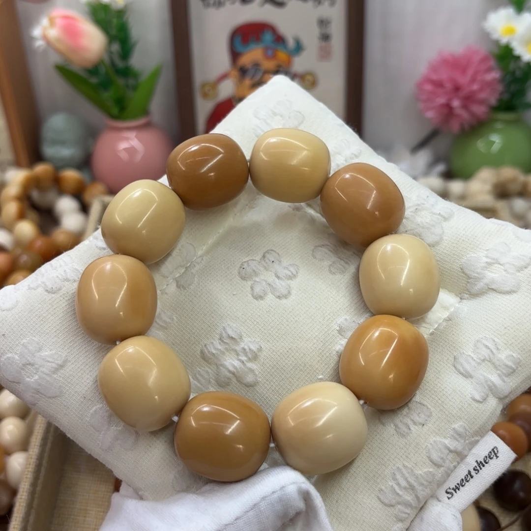 菩提根/象牙果吊坠26干磨牙果多宝枣福利639