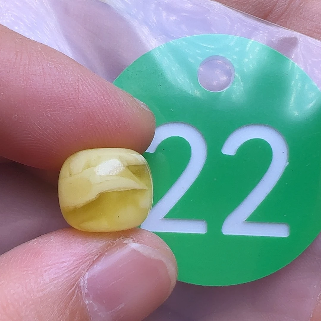 蜜蜡未镶嵌珠宝奇石11mm花粉