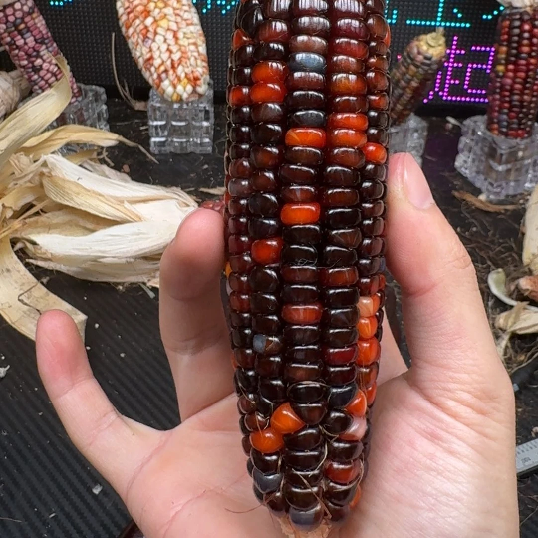 柏香籽/百香籽吊坠满*·