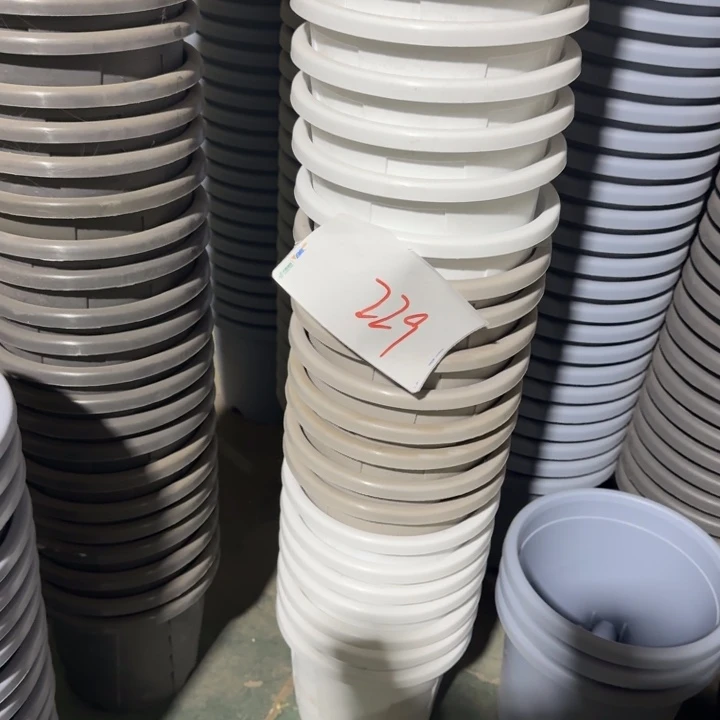 编号226微瑕6个无托