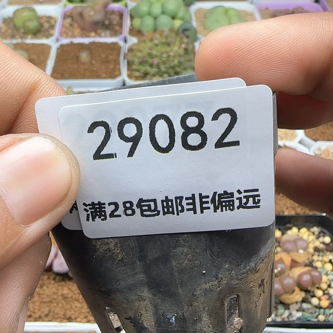 我***卡28包邮非偏远29082
