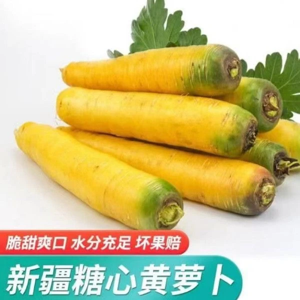 新疆黄萝卜蔬菜溏心萝卜新鲜蔬菜应季特产胡萝卜农产品