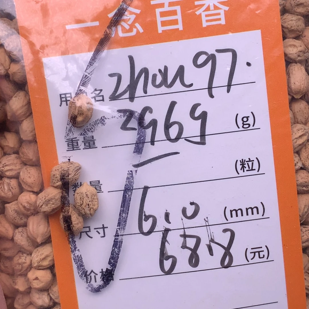 z***7吊坠柏香籽/百香籽