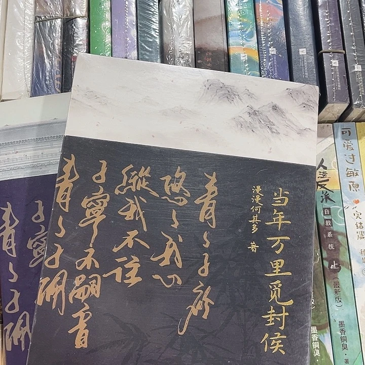 当年万里觅封侯全新全套两本带周边