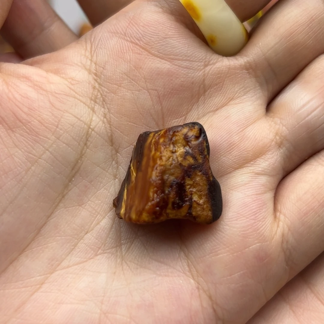 未镶嵌琥珀裸石陈
