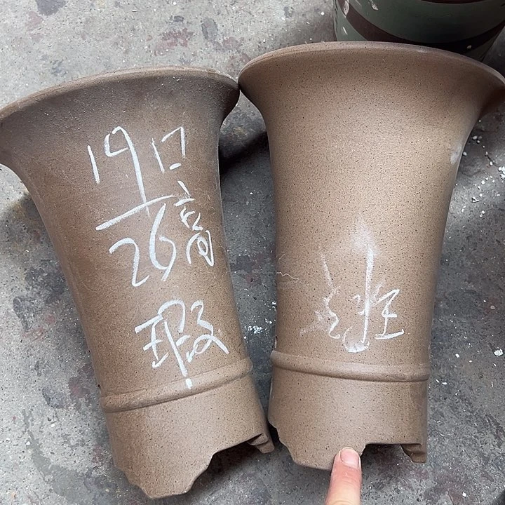 周三周四自始至终
