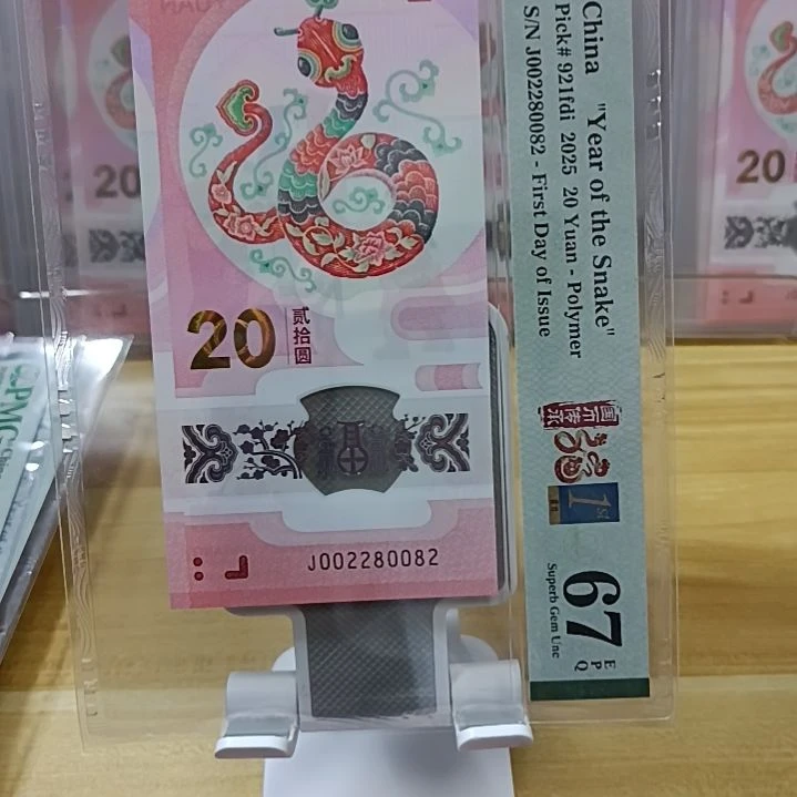 塑料蛇钞如图所示002280082