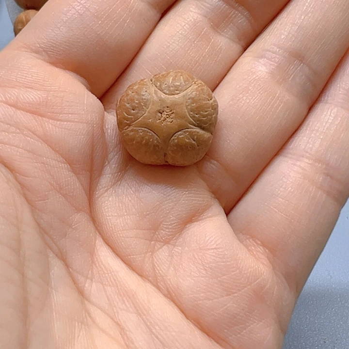 手串凤眼菩提18五星，9@6127