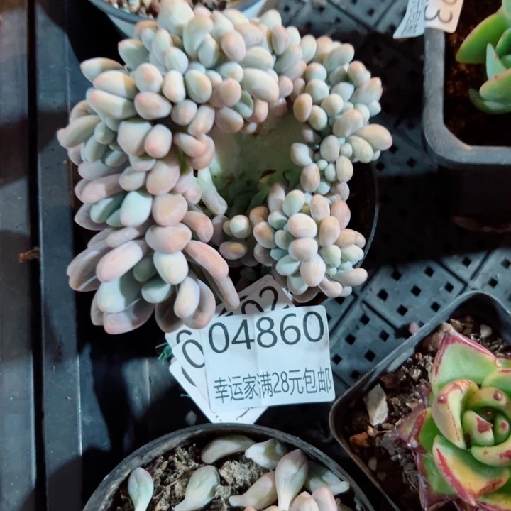 幸运的是我还没遇到过这样