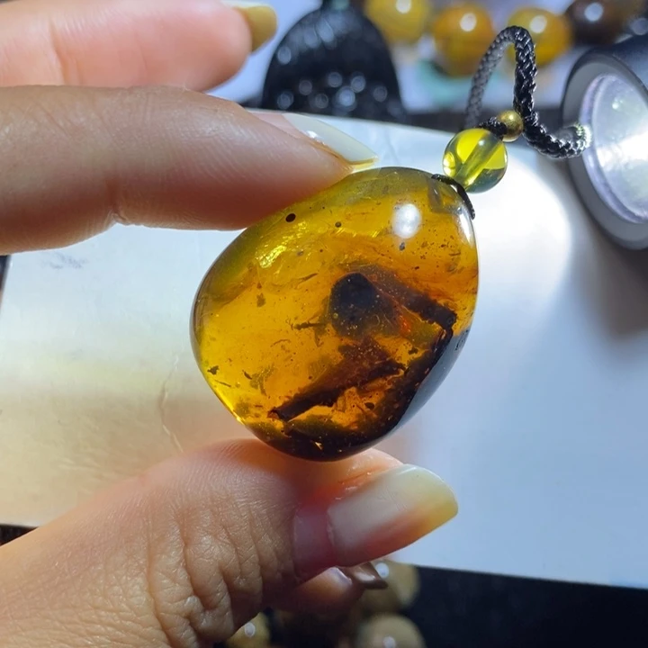 琥珀未镶嵌裸石虫珀