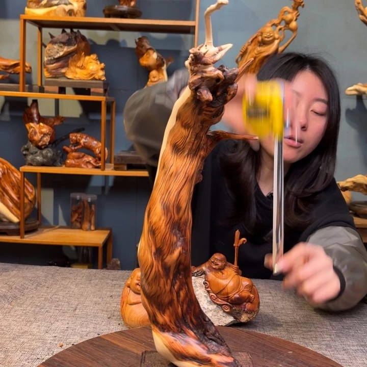 柏木（崖柏）关注一下