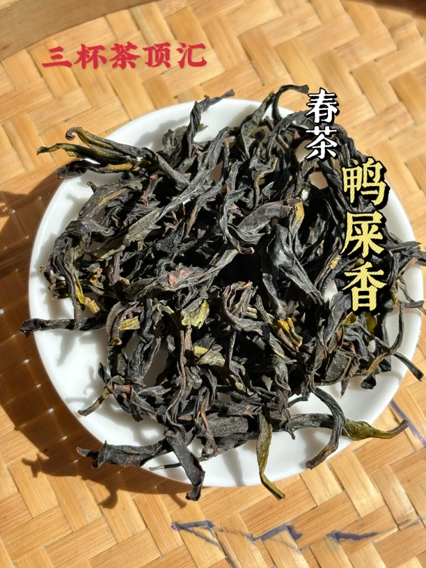 【鸭屎香】  三杯茶顶汇 2025年凤凰单丛春茶清香型 250克｜500克
