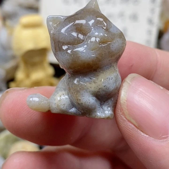 颈饰未镶嵌硅化珊瑚（珊瑚玉）