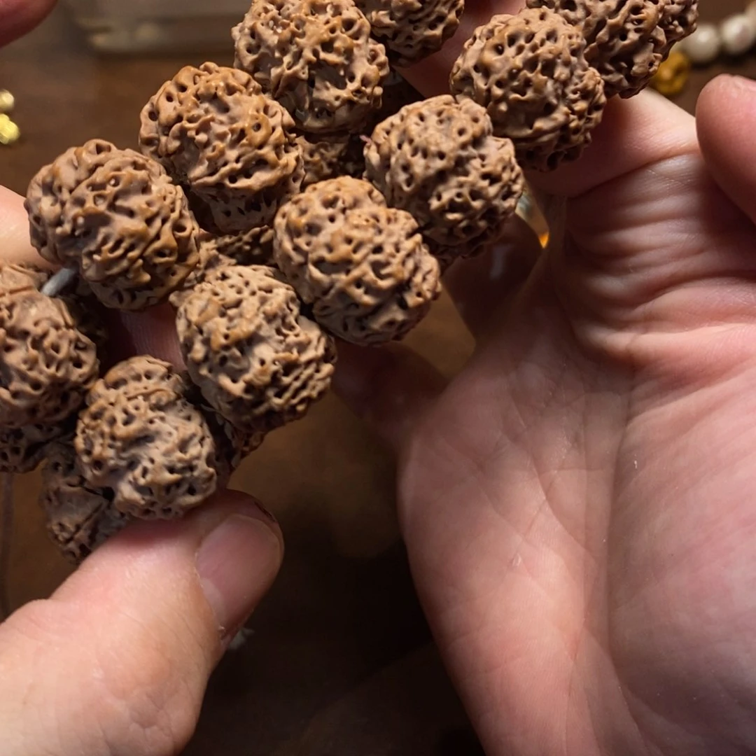 金刚菩提手串骨龙大金刚