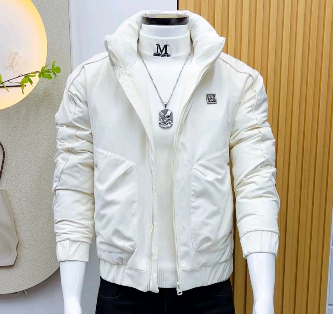 高级感简约轻奢立领棉衣男冬季加厚百搭修身潮流保暖纯色棉服外套