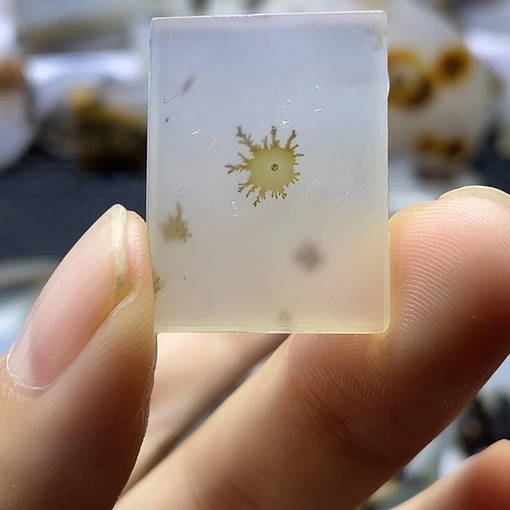 未镶嵌颈饰玛瑙/玉髓