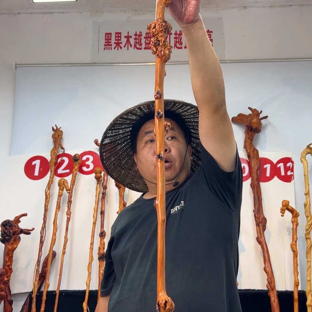 流***月黑果木其他黑果木430