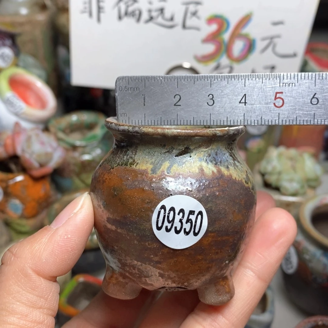 东*啊花盆拍5送一个小礼物