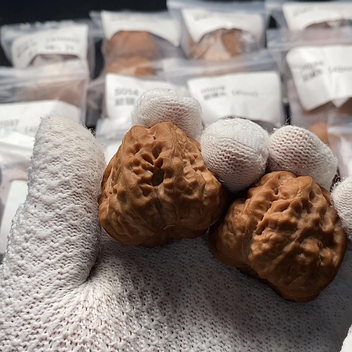 大叶紫檀（黑酸枝木类）