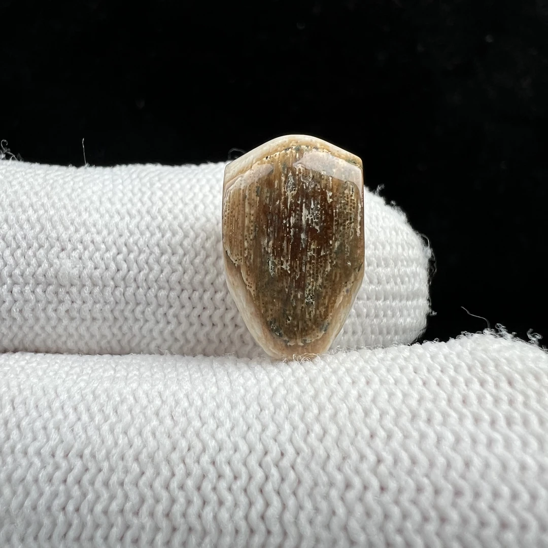 D3194天然猛犸牙 特色鲨鱼背三通9.4*15.2mm支持鉴定 假一罚四