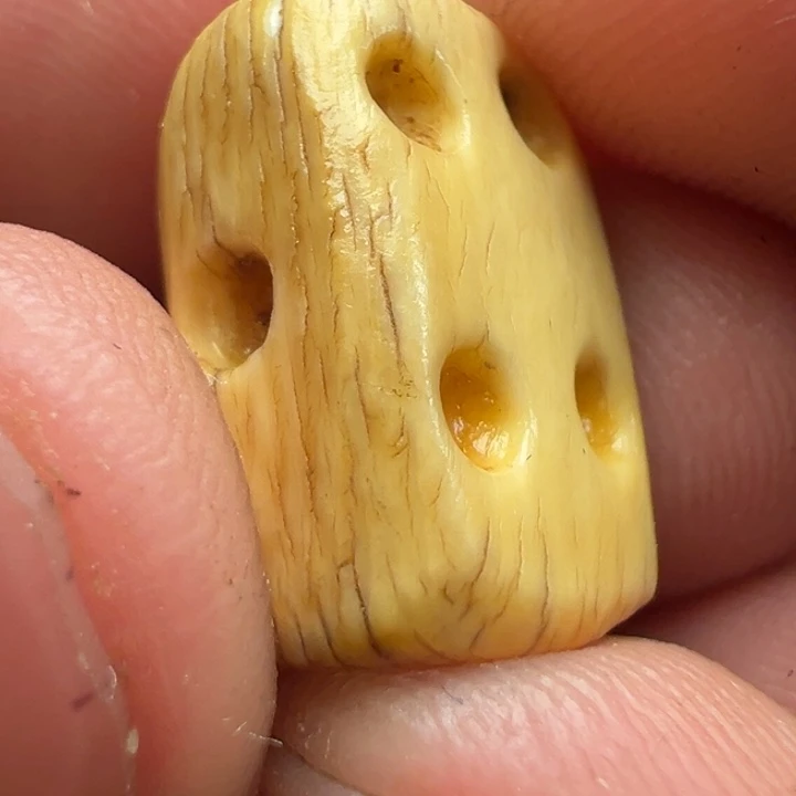 我们都是在这里看到的