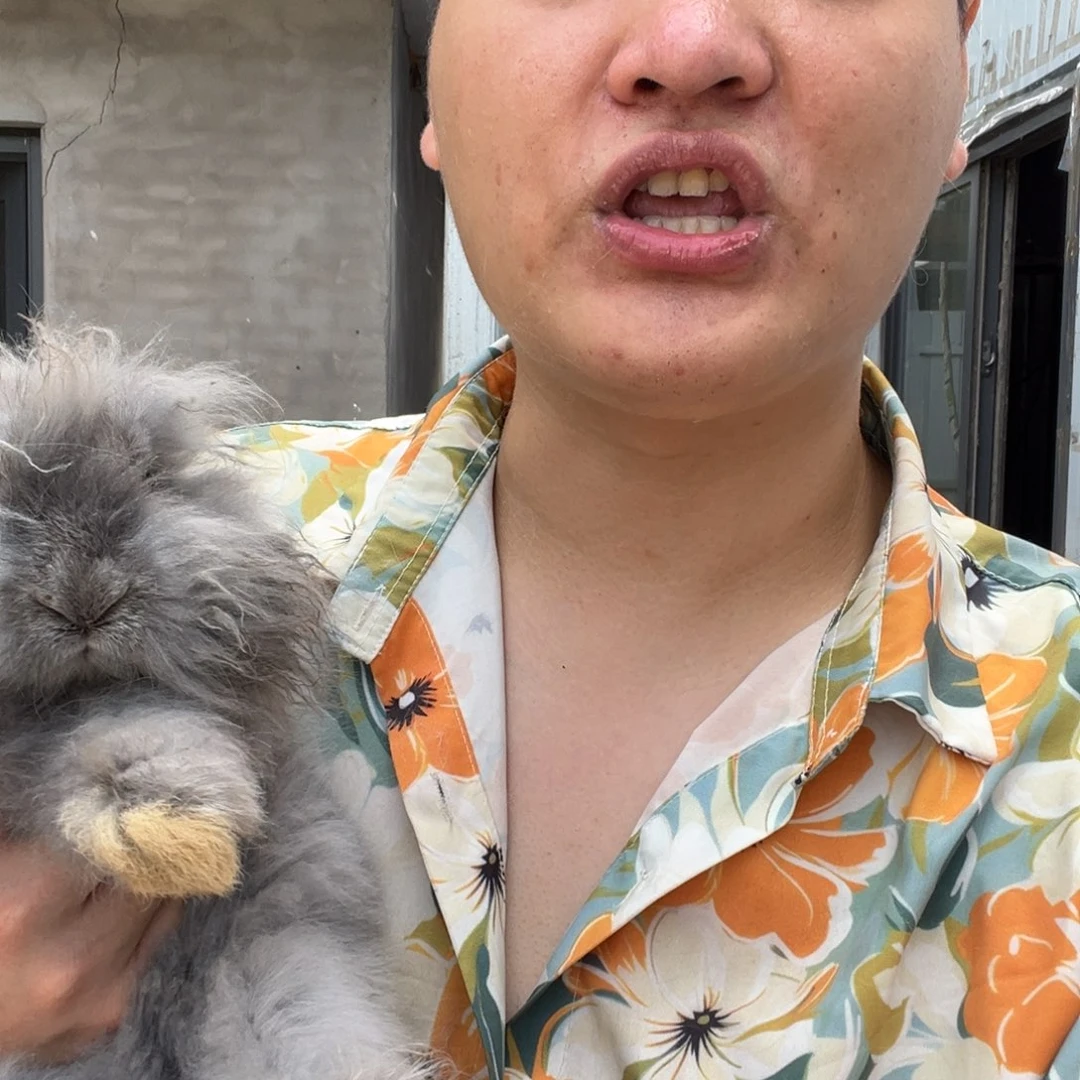 ****y1111111111111宠物