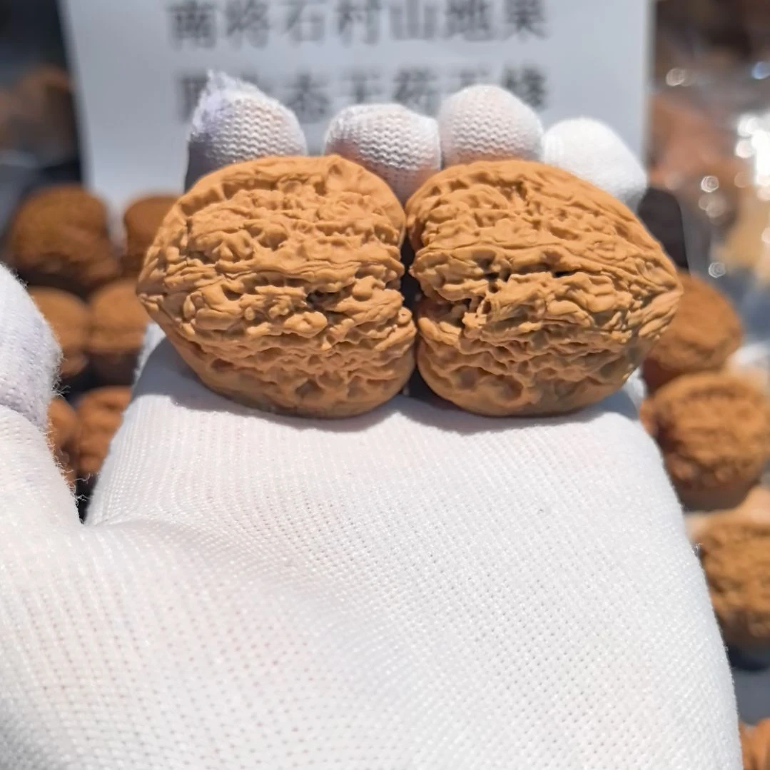 李***文涛子南将石直播拍