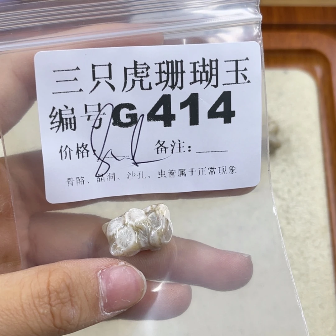 八***猫硅化珊瑚（珊瑚玉）未镶嵌h