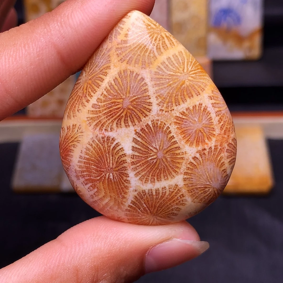 二***妮硅化玉珊瑚玉合金