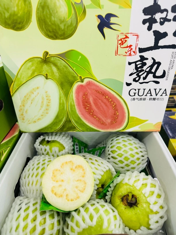 （放软吃）小果芭乐，每箱4-9个净果2.7-3斤，广西