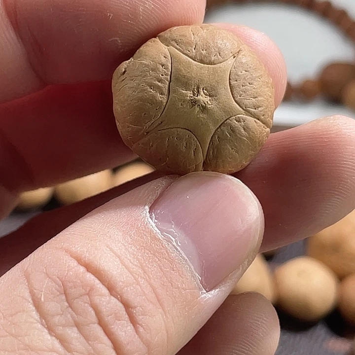 凤眼菩提手串尼泊尔小fy