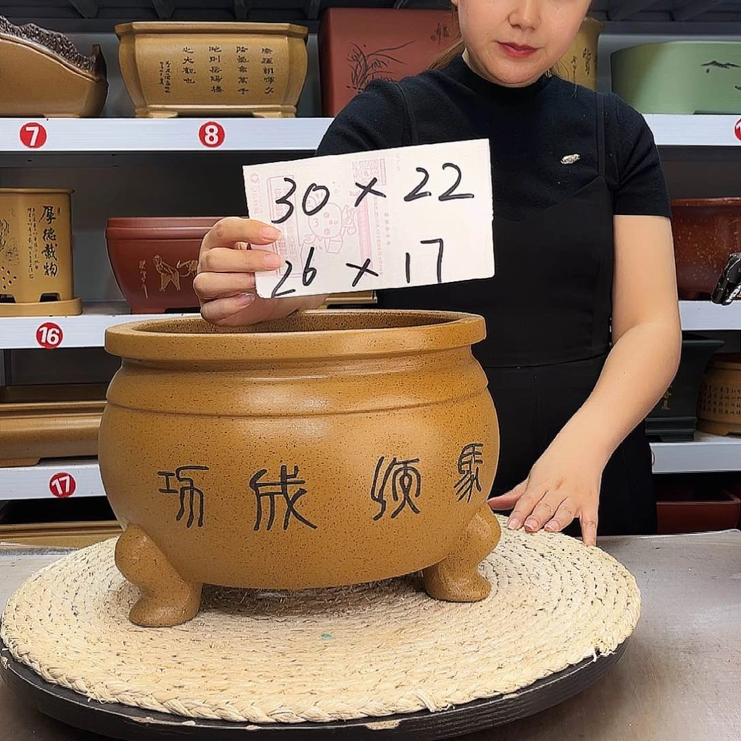 紫砂花盆紫砂花盆