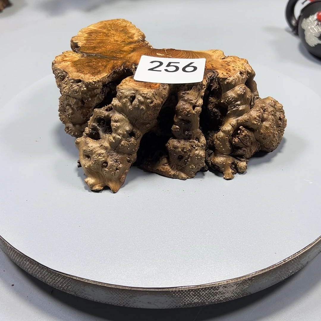 大果紫檀（缅甸花梨）风*