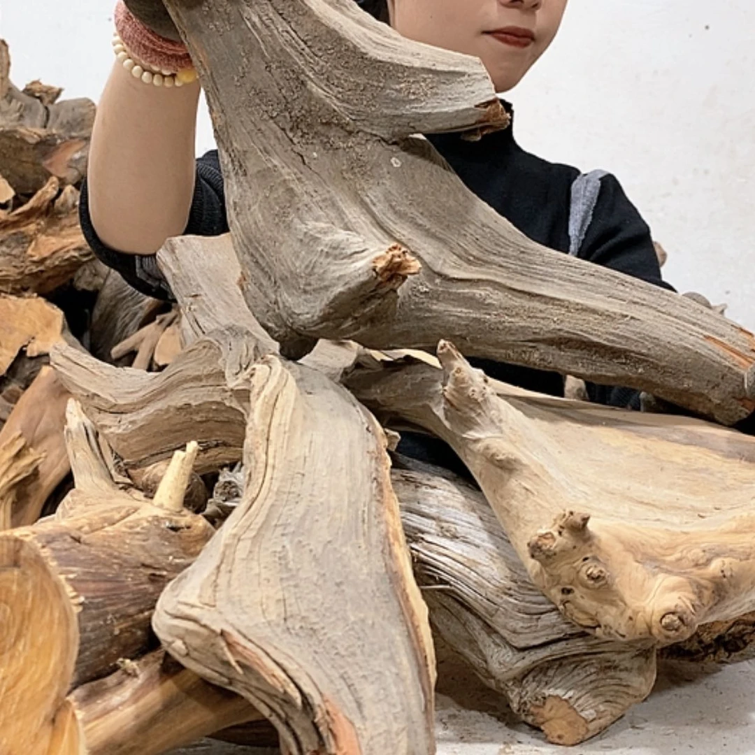 【闪购商品】柏木闽**艺我们都是好孩子